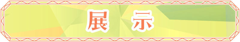 展示